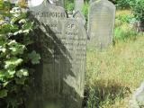 image number 7